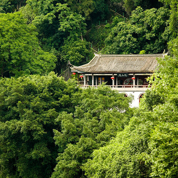 istock Chinese building in lush junlge 186607675