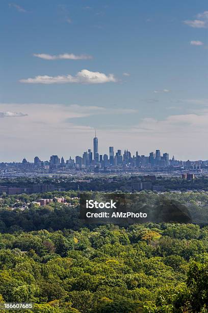 Skyline Of Lower Manhattan On A Sunny Day Stock Photo - Download Image Now - Distant, New York City, New York State