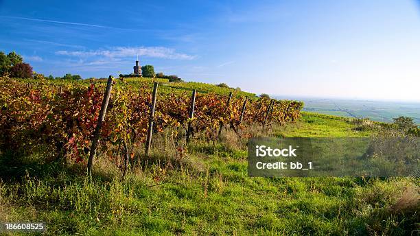Panorama De Otoño Colorido Vineyard Foto de stock y más banco de imágenes de Agricultura - Agricultura, Alemania, Belleza de la naturaleza