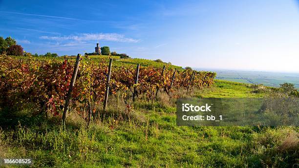 Photo libre de droit de Panorama Du Vignoble De Couleurs Dautomne banque d'images et plus d'images libres de droit de Agriculture - Agriculture, Allemagne, Automne