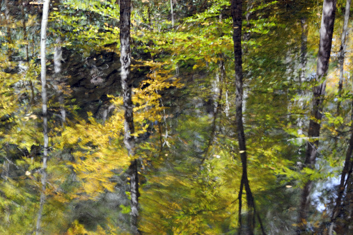 Reflection in Dingmans Creek in Autumn, Delaware Water Gap National Recreation Area, Pennsylvania, USA