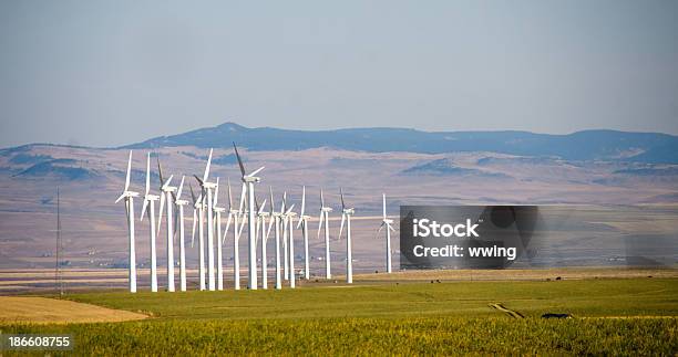 風力タービン - アルバータ州のストックフォトや画像を多数ご用意 - アルバータ州, カラー画像, グリーンテクノロジー
