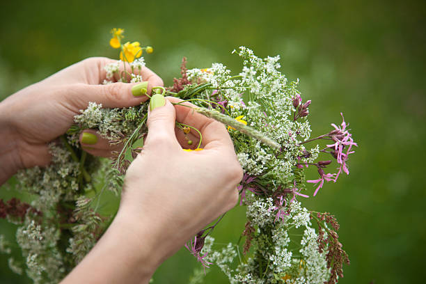 manos de mujer haciendo garland - cut flowers women field single flower fotografías e imágenes de stock