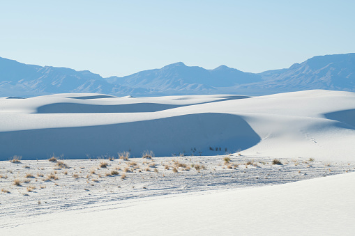 Desert panorama in Nevada