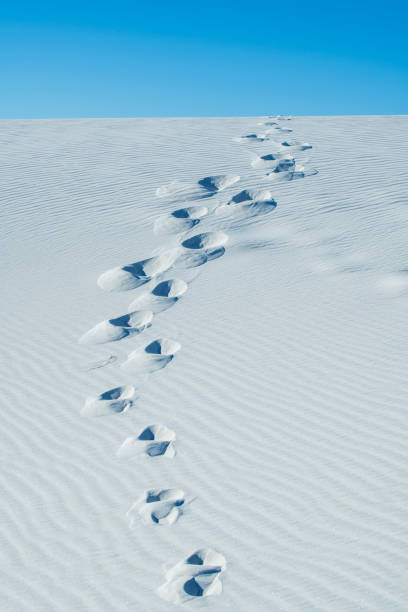 istock Footprint on sand at White Sands National Park 1866104837