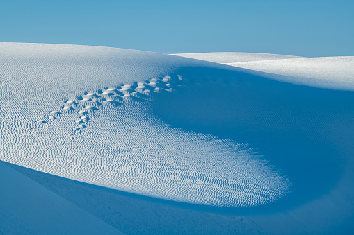Sanddune at White Sands National Park, New Mexico, USA