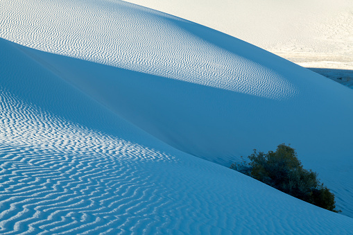 Sand dune at White Sands National Park, New Mexico, USA