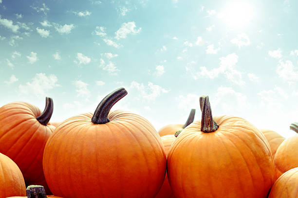 Halloween Pumpkins with sky background