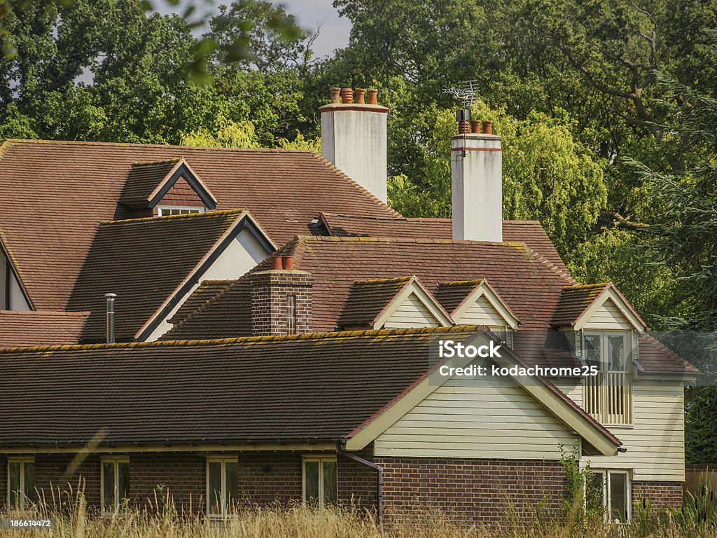 house - Foto de stock de Aire libre libre de derechos