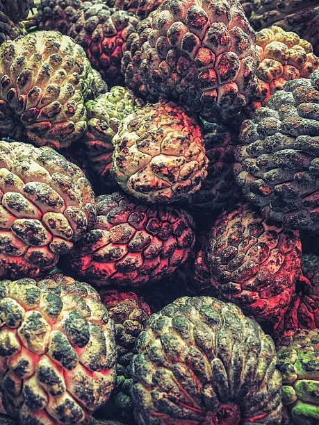 Group of Sugar apple also known as custard-pineapple or sweetsop