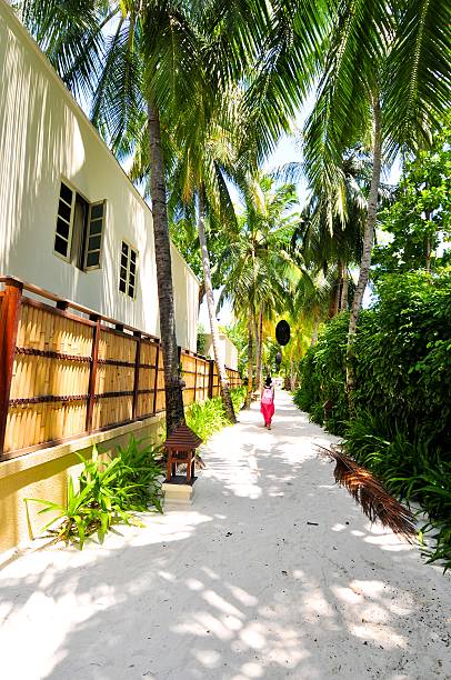 Panorama Tropical Island Maldives
