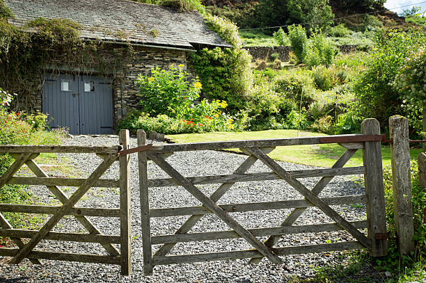 farm gate cumbria - oak tree tree grass hdr - fotografias e filmes do acervo