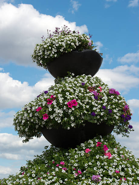 Flower arrangement of petunias and calibrachoa. Calibrachoa in a flower basket on a lamp post. Magnificent calibrachoa bush in a hanging basket. Blooming petunia in a pot. Colorful multicolored bright flowers in hanging pots.