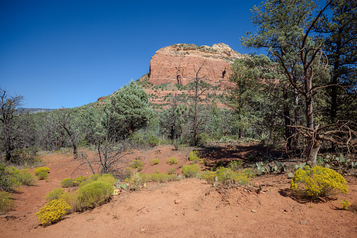 On the Devil's bridge trail in Sedona, Arizona.  Note that this image is in HDR, to fully realize its potential you would need a full download and viewed it with supported monitor and application