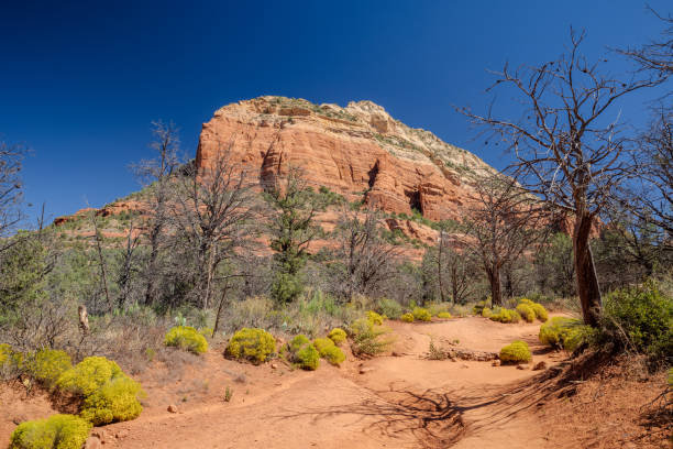 istock On the Devil's bridge trail in Sedona, Arizona 1866170169