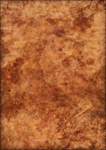 istock High Resolution Animal Skin Parchment Crumpled Mottled Vignette Grunge Texture 186617541
