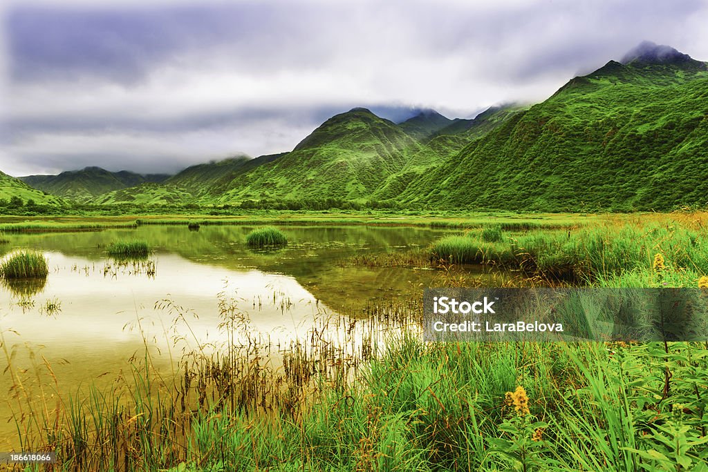 Untouched Nature Magic landscape, of internal part of Kodiak island in Alaska, protected area. USA. Kodiak Island Stock Photo
