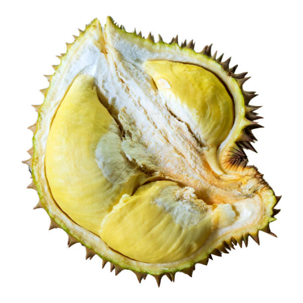 istock Durians background. Group of fresh durians fruit cut in half on isolated white. 1866187255