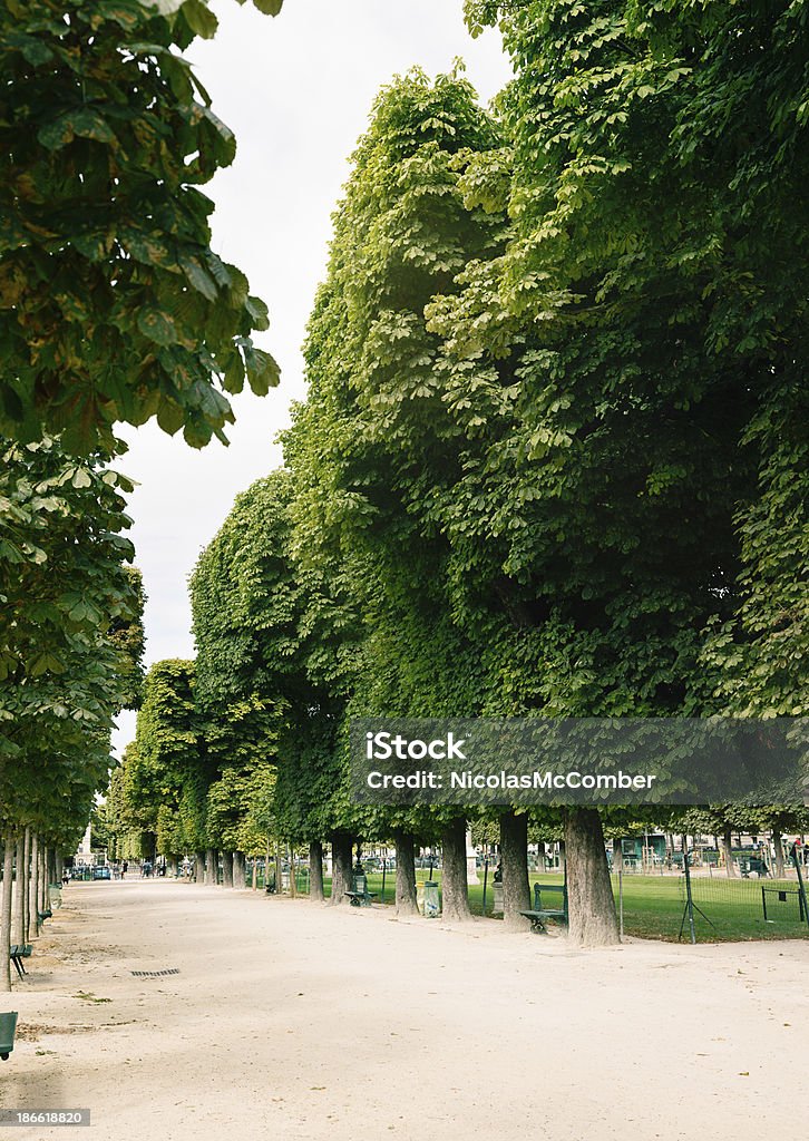 Париж Спортивные Аллея деревьев на подкладке с 1929 года - Стоковые фото Париж - Франция роялти-фри