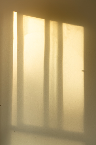 Warm yellow light from window shines on white wall. Morning sun light. Blurry shadows and silhouettes on the wall.