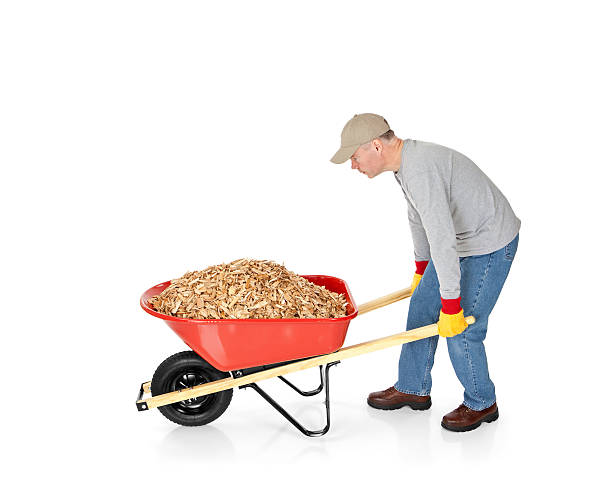 istock Wheelbarrow Full of Mulch 186620358