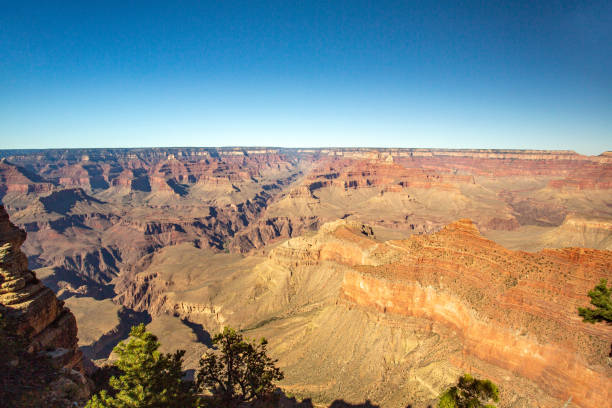 Majestic natural scenery at the Grand Canyon National Park. You can see the deep gorge cut out of the rocks with the layers of geologic bedrock. A beautiful nature scenic overlook at this amazing national park. The deep blue cloudless sky is makes a great horizon. A great travel destination background with plenty of copy space.