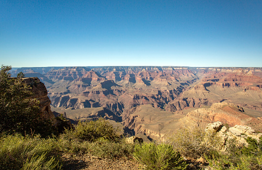 View the vast expanse of the rugged and majestic Grand Canyon in Arizona. The wide angle shot shows the vastness of the canyon with the sandstone erosion of the millennia. In the distance, you can see the flat horizon with a blue cloudless sky with plenty of copy space. The foreground shows low desert shrubs that are green. A scenic natural overlook of an amazing landscape. The evening light casts dramatic shadows on the cliff faces.