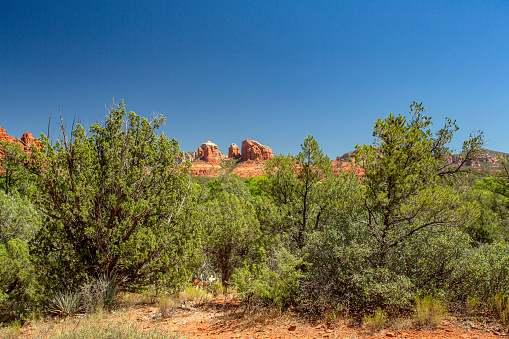 Scenic Nature near Red Rocks Arizona. You can see low desert shrubs in the foreground with some rugged red rocks in the distant mountains. A bright Cloudless Sunny day with plenty of copy space in the blue sky above. Beautiful rugged arid desert landscape.