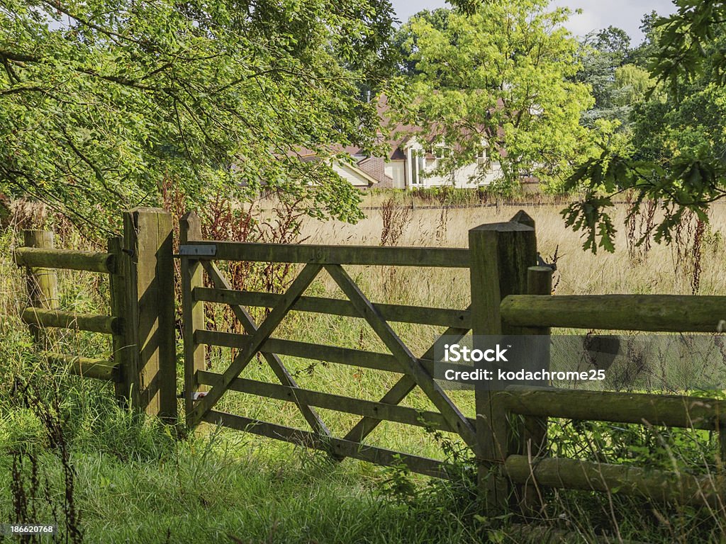 house - Foto de stock de Aire libre libre de derechos