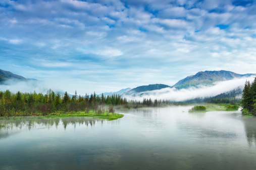 Delicate Landscape in the foggy Morning in Kenai Fjords National Park, Alaska, USA.