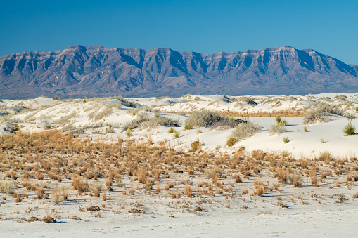 Scenery at White Sands National Park, New Mexico, USA