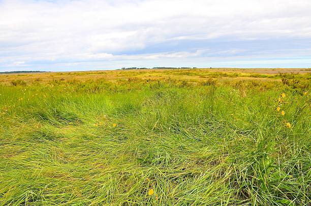 istock Wells-Next-The-Sea Norfolk,England 186621618