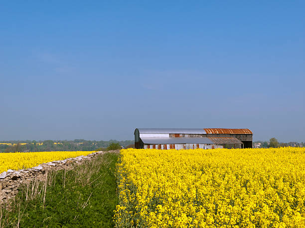istock Scenic Cotswolds - colourful spring landscape 186621704