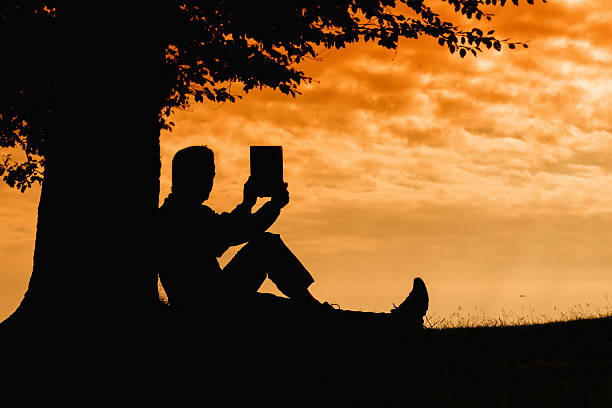 istock Man silhouette sitting under tree taking photo with tablet outdoor 186621721
