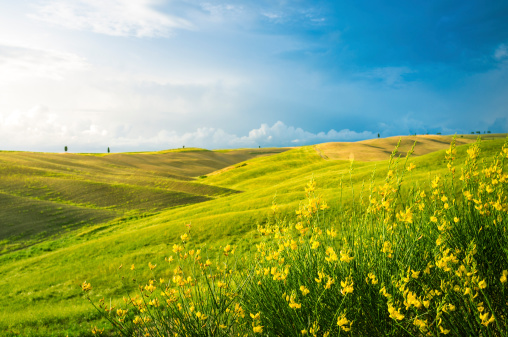 Hilly Tuscan landscape near San Quirico d'Orcia (Tuscany, Italy).