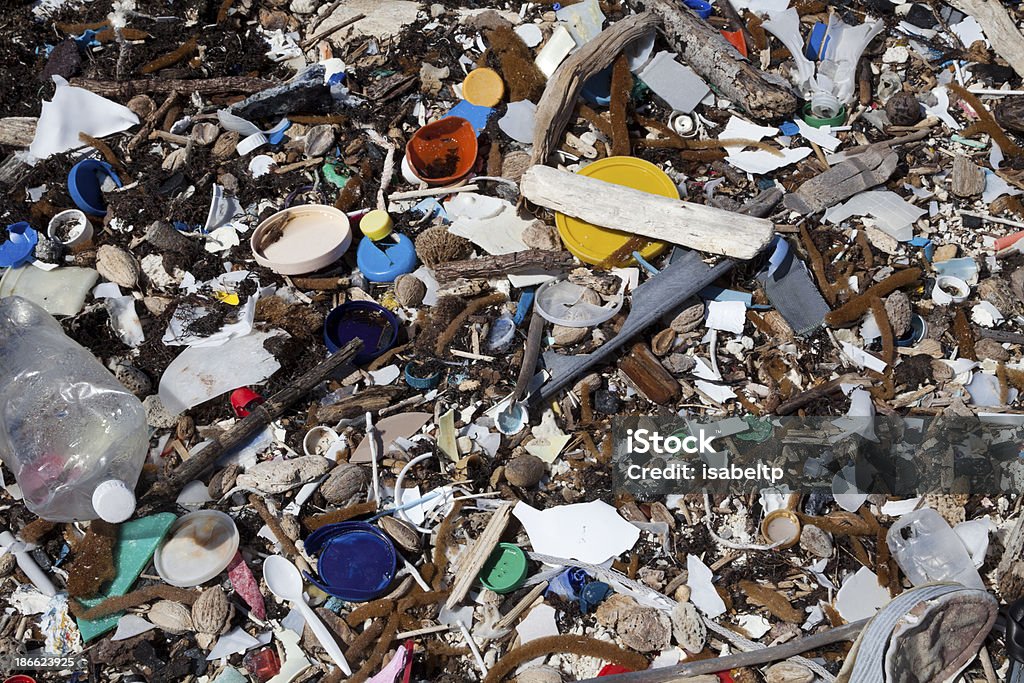 Остатки еды на море - Стоковые фото Загрязнение окружающей среды роялти-фри