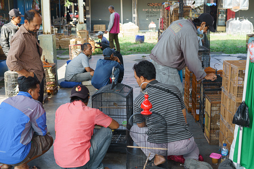 Residents selling various exotic birds at Pasar Pon traditional animal market in Semarang, Indonesia - December 18, 2023.