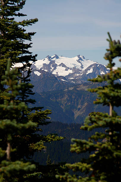 istock Distant View of Mount Olympus in Olympic National Park 186624552