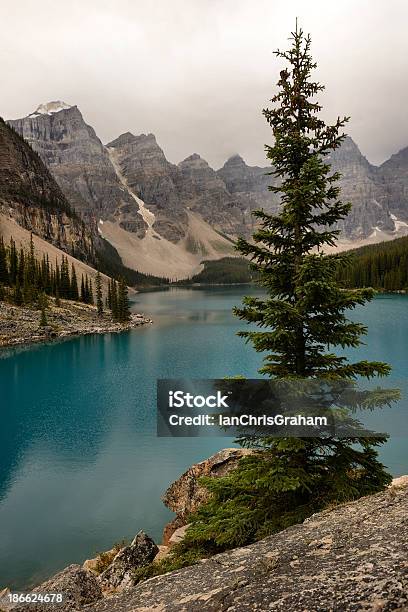 Foto de Lago Moraine e mais fotos de stock de Alberta - Alberta, Beleza natural - Natureza, Bosque - Floresta