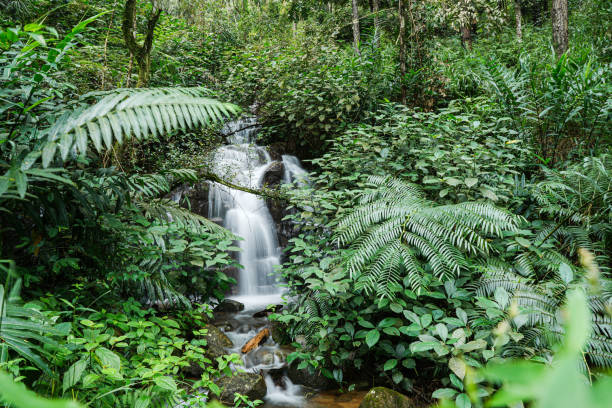 istock Scenic waterfall in a tropical island 1866248445