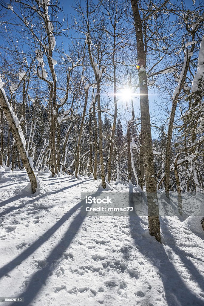 High Mountain Landschaft an einem sonnigen Tag - Lizenzfrei Alpen Stock-Foto