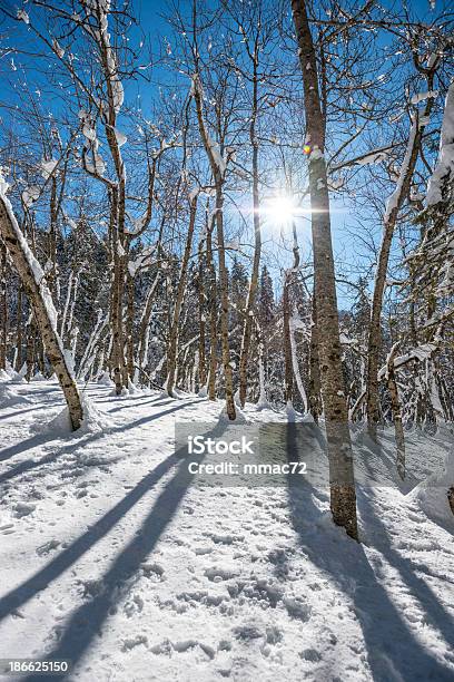 High Mountain Landschaft An Einem Sonnigen Tag Stockfoto und mehr Bilder von Alpen - Alpen, Anhöhe, Arktis