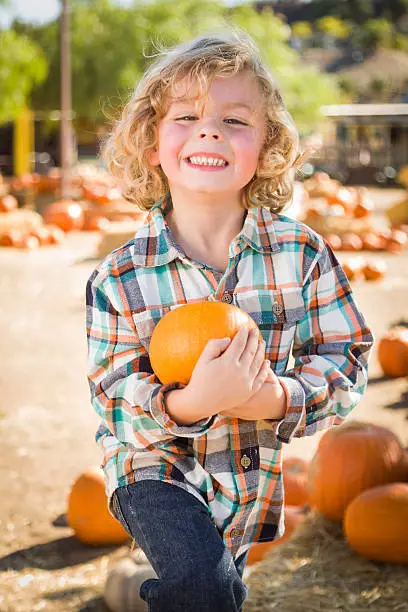 Adorable Little Boy Sitting and Holding His Pumpkin in a Rustic Ranch Setting at the Pumpkin Patch.  