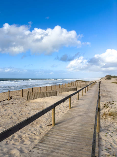 istock Wooden pathway leading to the beach 1866273142
