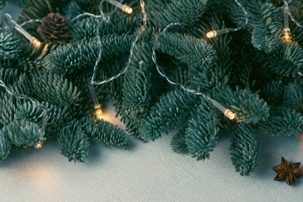 istock Nobilis branches with a luminous garland 1866291612