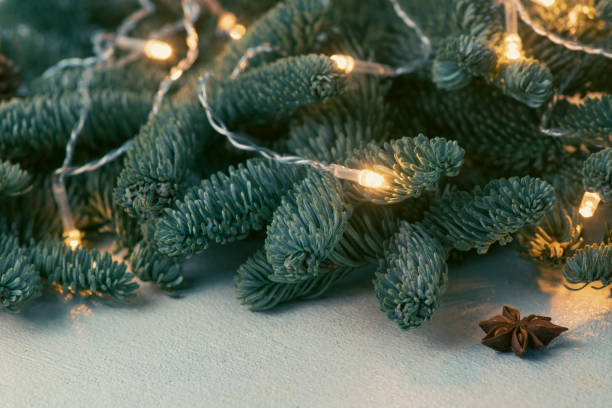 istock Nobilis branches with a luminous garland 1866291613