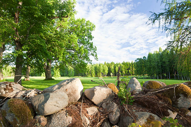 Stone wall, vibrant landscape in background