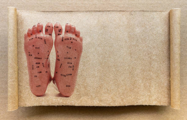 papel marrom queimado com modelo de massagem nos pés - reflexology human foot acupuncture diagram - fotografias e filmes do acervo