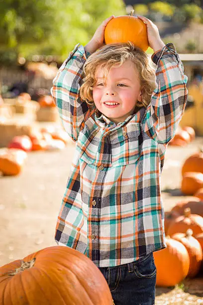 Adorable Little Boy Sitting and Holding His Pumpkin in a Rustic Ranch Setting at the Pumpkin Patch. 