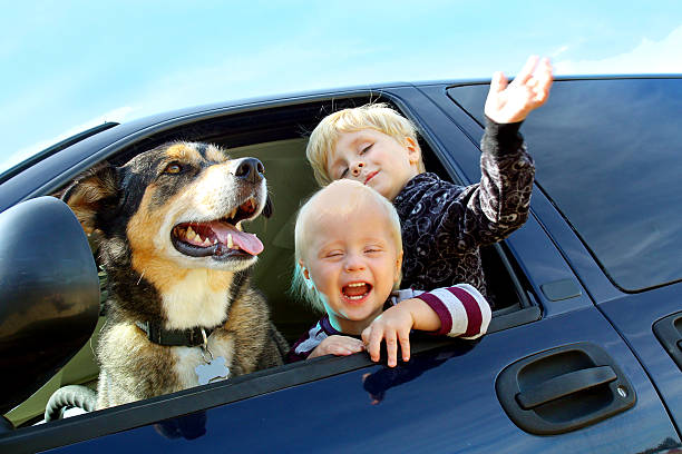 istock Happy Children and Dog in Minivan 186634424